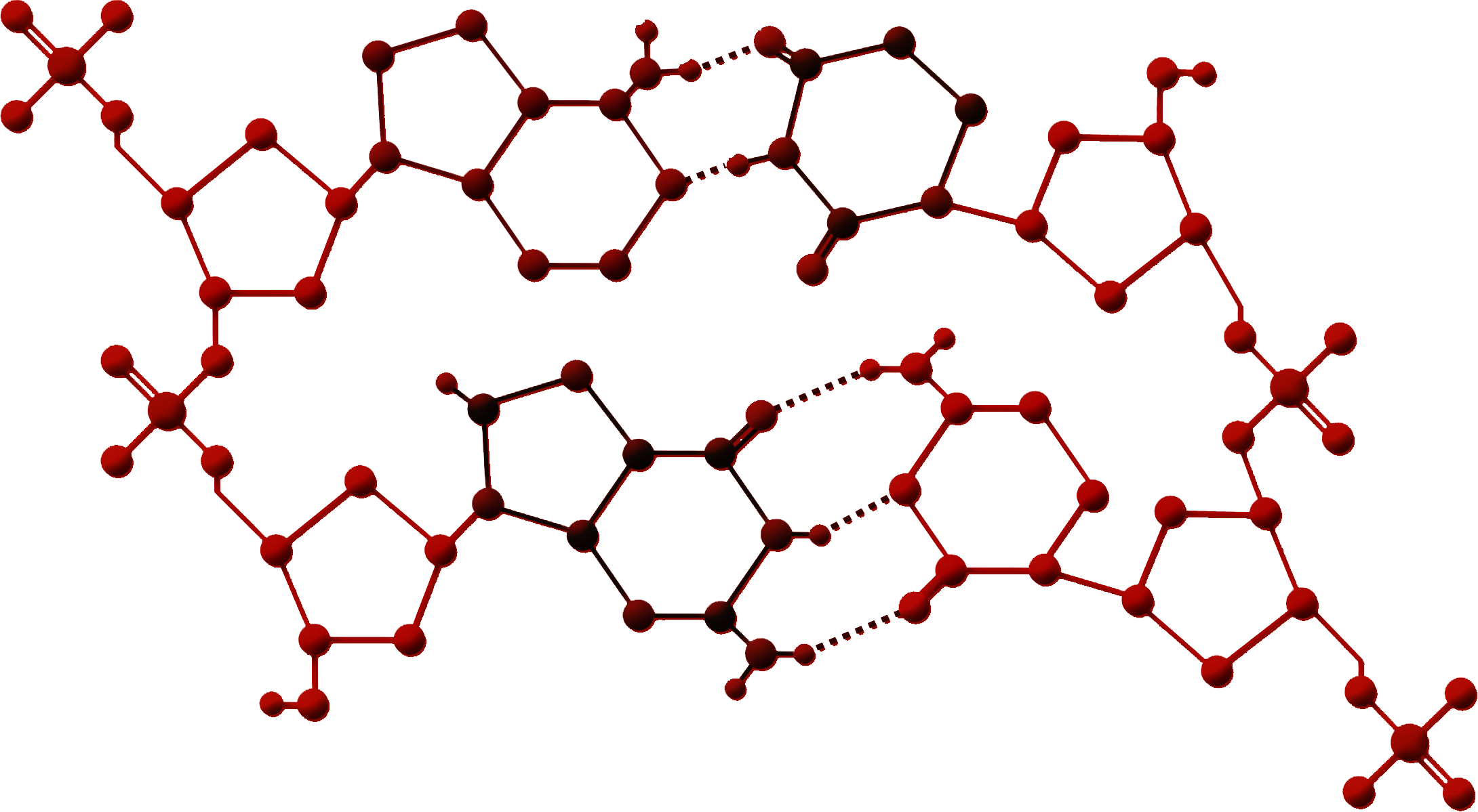 Poly-Cell Science Matrix